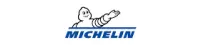 Купить  Michelin () в Ижевске